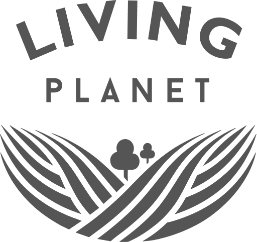 Living Intentions logo
