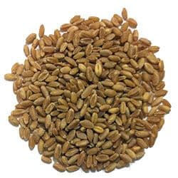 Eden Valley Grain - Whole Wheat 10KG