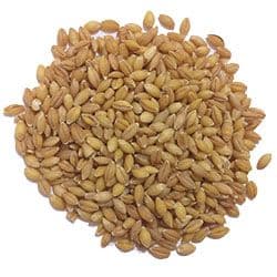 Eden Valley Grain - Barley Kernals 10KG
